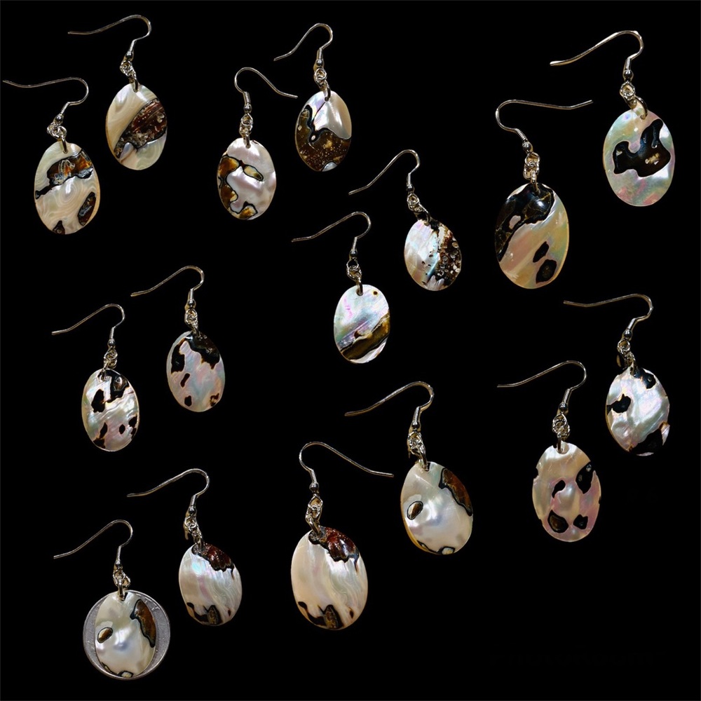 Assorted Turbo Sarmaticus Shell Oval Earrings (